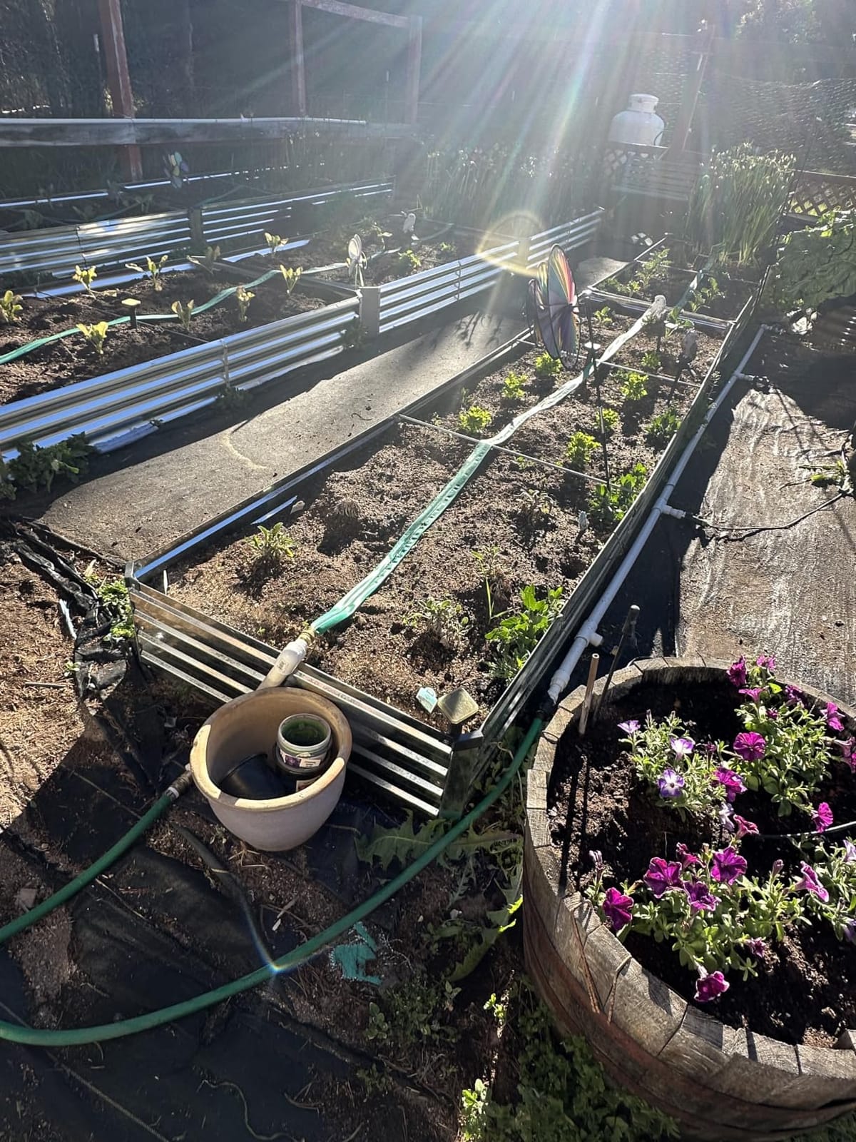 Land Guard 3 Pack 8x4x1ft Galvanized Metal Raised Garden Bed, Metal Planter Kit Box Outdoor for Deep-Rooted Vegetables, Flowers, Green and Herbs, Silver customer photo 2