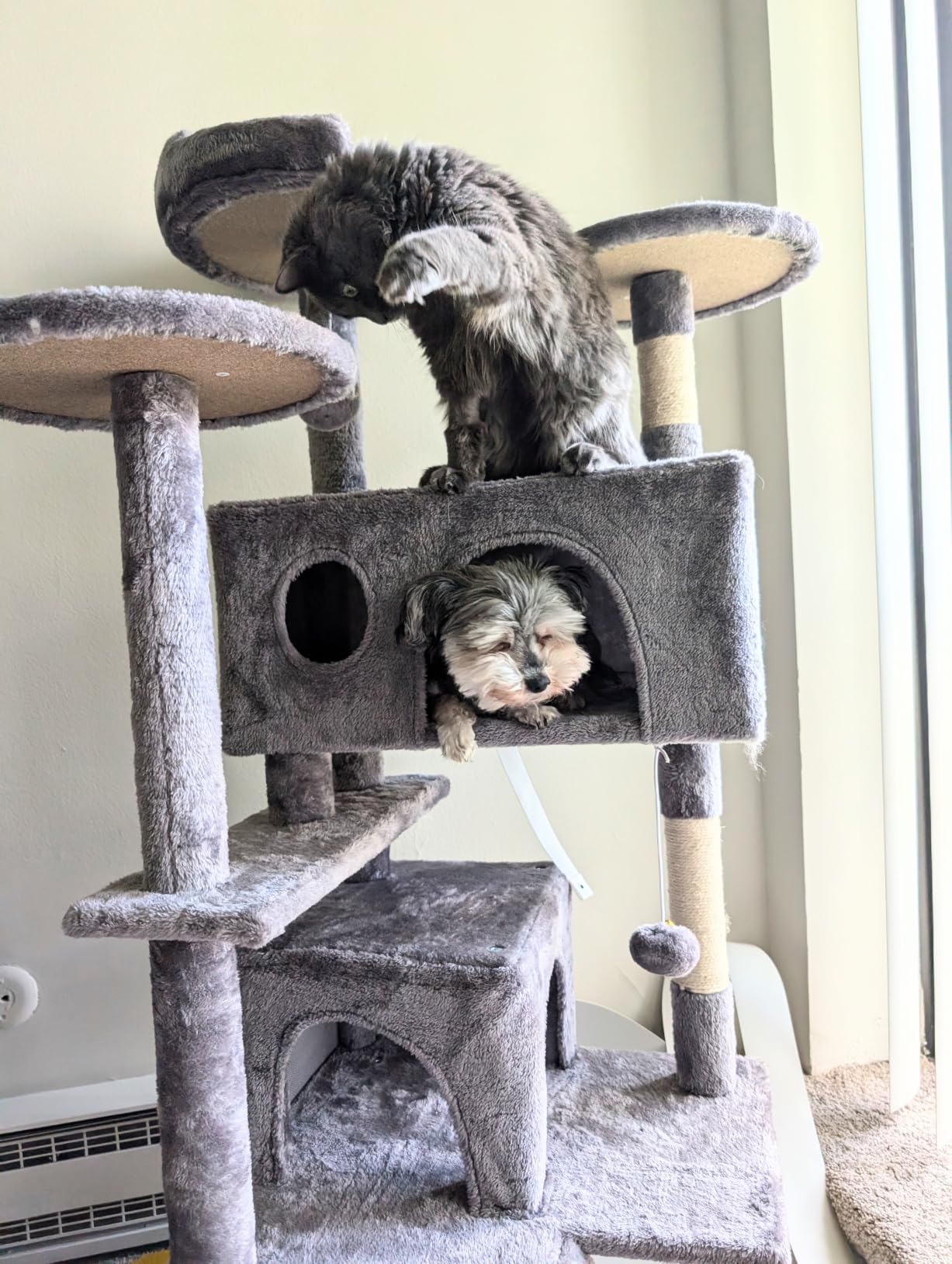 Sweetcrispy 44 Inch Cat Tree Tower for Indoor Cats and Kittens, Beige customer photo 2