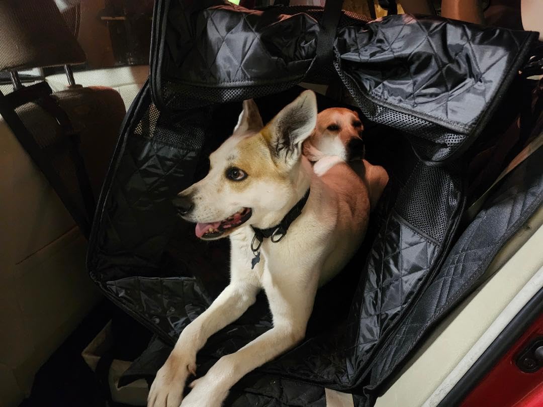 Soft Sided Collapsible Dog Crate for Car - XL Portable | Collapsible dog car crate folds small Secure straps for back seat, SUV & trucks. Portable for multiple dogs, area restriction customer photo 1