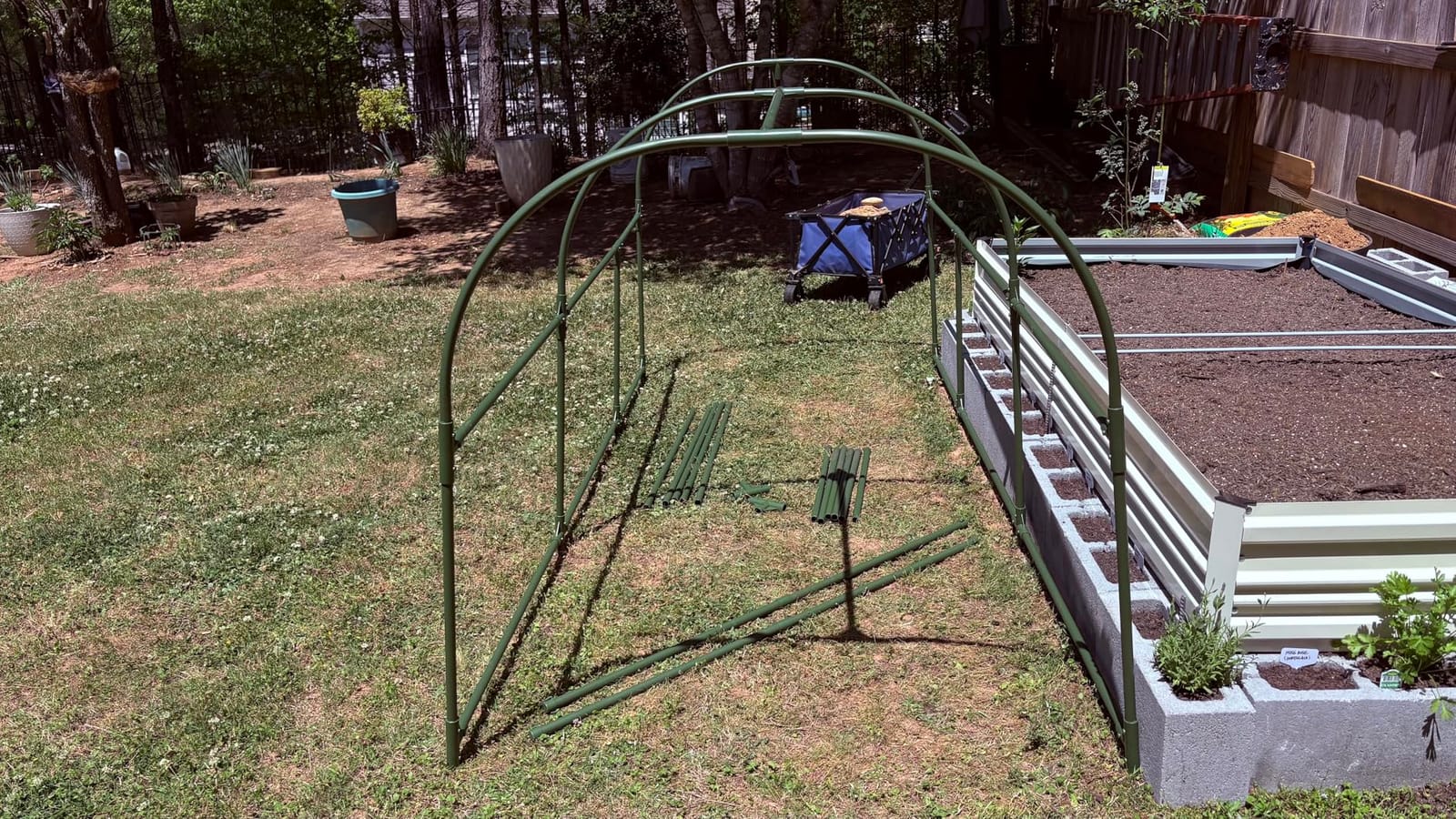 Cucumber Trellis - 49.4