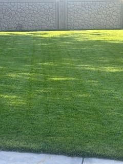 Segway Navimow X430 Robot Lawn Mower Wire Free, for up to 1 Acre, 4WD for 84% Slopes, Zero-Turn for Damage-Free Mowing, ORV-Tuned Lawnmower, MowMentum with 2 x 180W Motors, 0.75-4 in Cutting Height customer photo 2