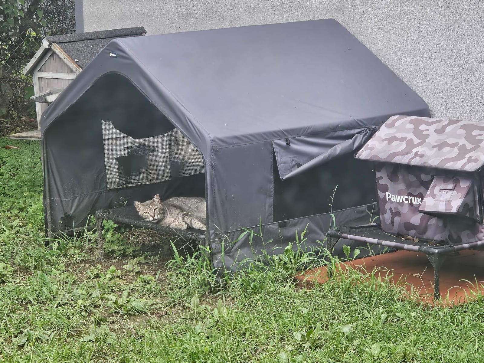 Veehoo Extra Large Dog House Outdoor Includes Elevated Dog Bed-Weatherproof | Waterproof Outside Dog Tent 4.1' x 4.1' x 3.3', Dog Shade Shelter and Raised Bed Combo for Pets or Stray Animals, Grey customer photo 1