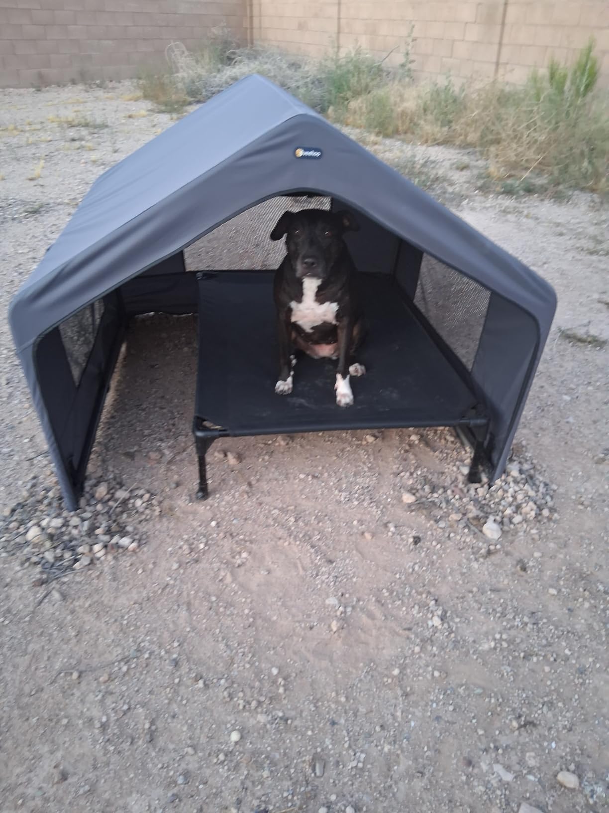Veehoo Extra Large Dog House Outdoor Includes Elevated Dog Bed-Weatherproof | Waterproof Outside Dog Tent 4.1' x 4.1' x 3.3', Dog Shade Shelter and Raised Bed Combo for Pets or Stray Animals, Grey customer photo 2