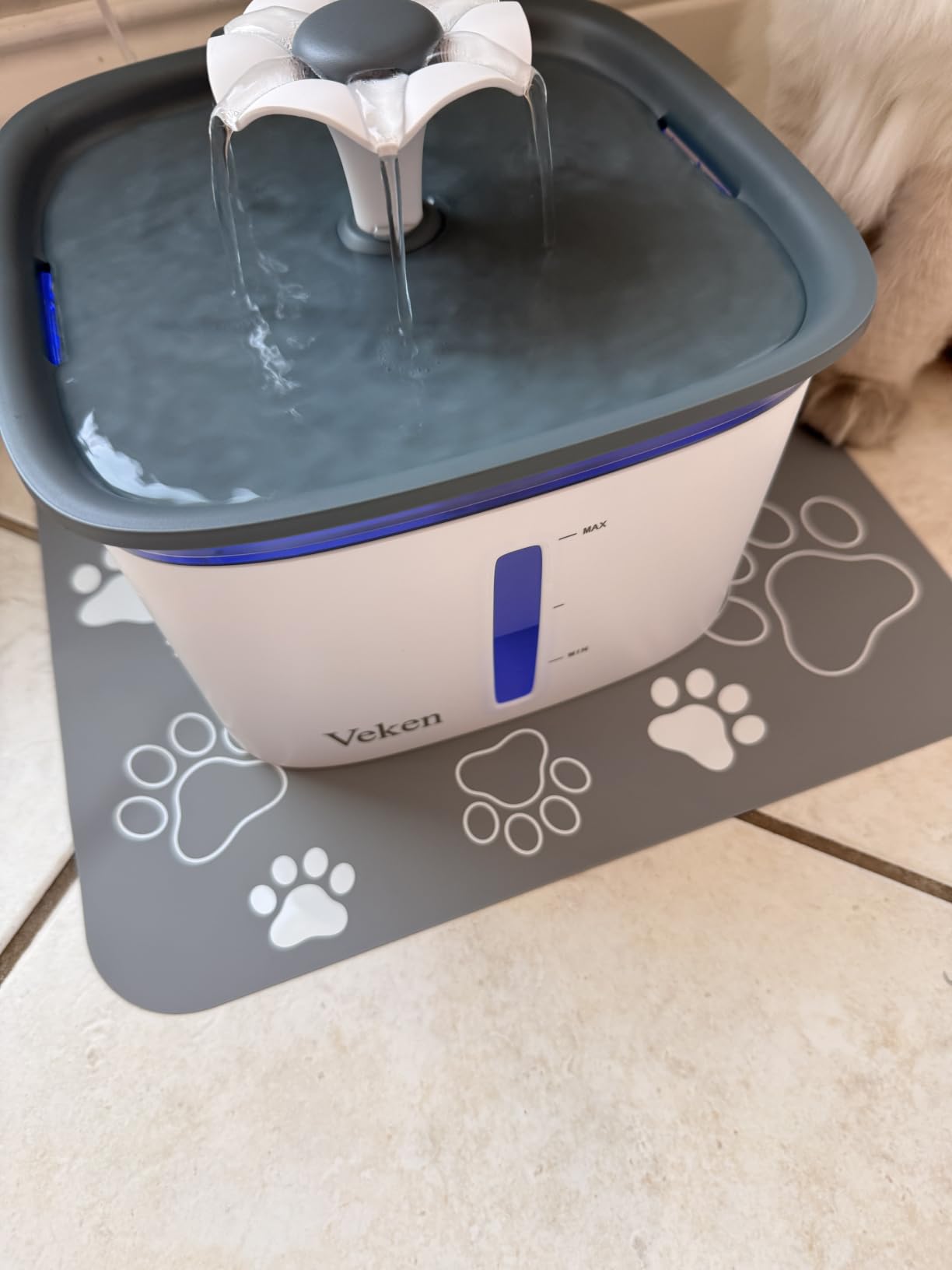 Veken Innovation Award Winner 95oz/2.8L Cat Water Fountain | Automatic Pet Fountain Dog Water Dispenser with 6 Replacement Filters & Silicone Mat for Cats, Dogs (Blue, Plastic) customer photo 1