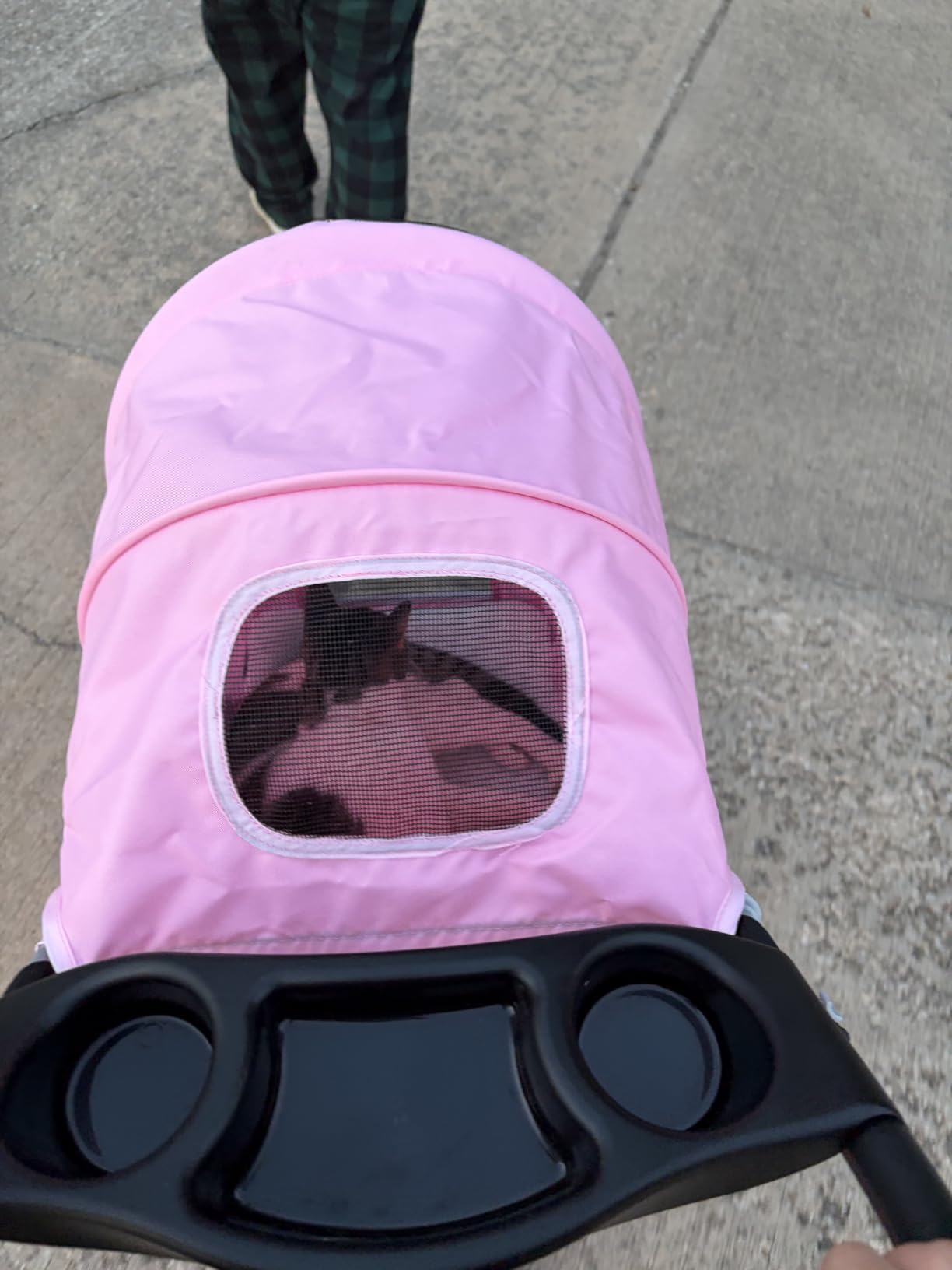 3 Wheel Pet Stroller for Dogs and Cats, Foldable Design | Lightweight and Durable, Ideal for Small to Medium Pets, Includes Storage Basket and Cup Holders, Black customer photo 1