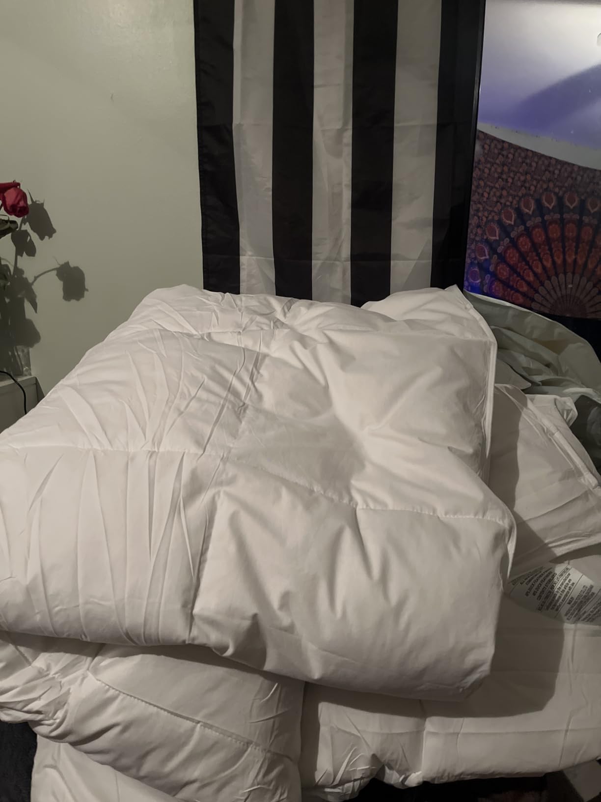 Cosybay Feather and Down Fiber Comforter Insert Queen, 100% Cotton Cover | Medium Warmth White Duvet Insert, Fluffy Soft Hotel Luxury Bedding for Bedroom, 90 x 90 Inches customer photo 2