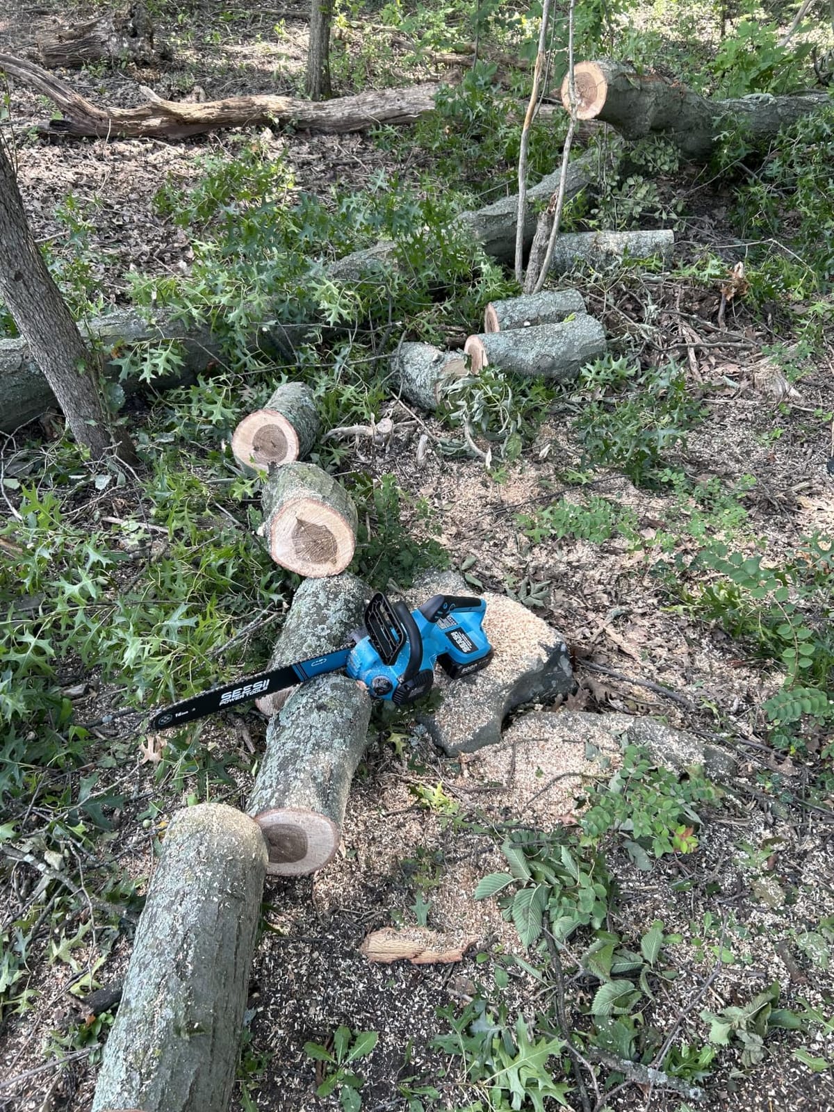 SEESII 40V 16 Inch & 12 Inch Cordless Electric Chainsaw 2x5.0Ah Batteries | 1600W Brushless Chain saw customer photo 1