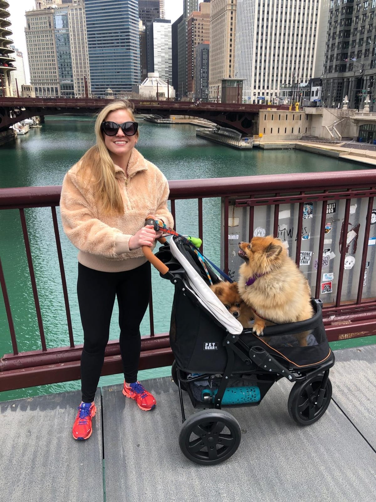 Pet Gear No-Zip AT3 Pet Stroller for Cats/Dogs, Sea Salt | Zipperless Entry, Easy One-Hand Fold, Jogging Tires, Removable Liner, Cup Holder + Storage Basket customer photo 1