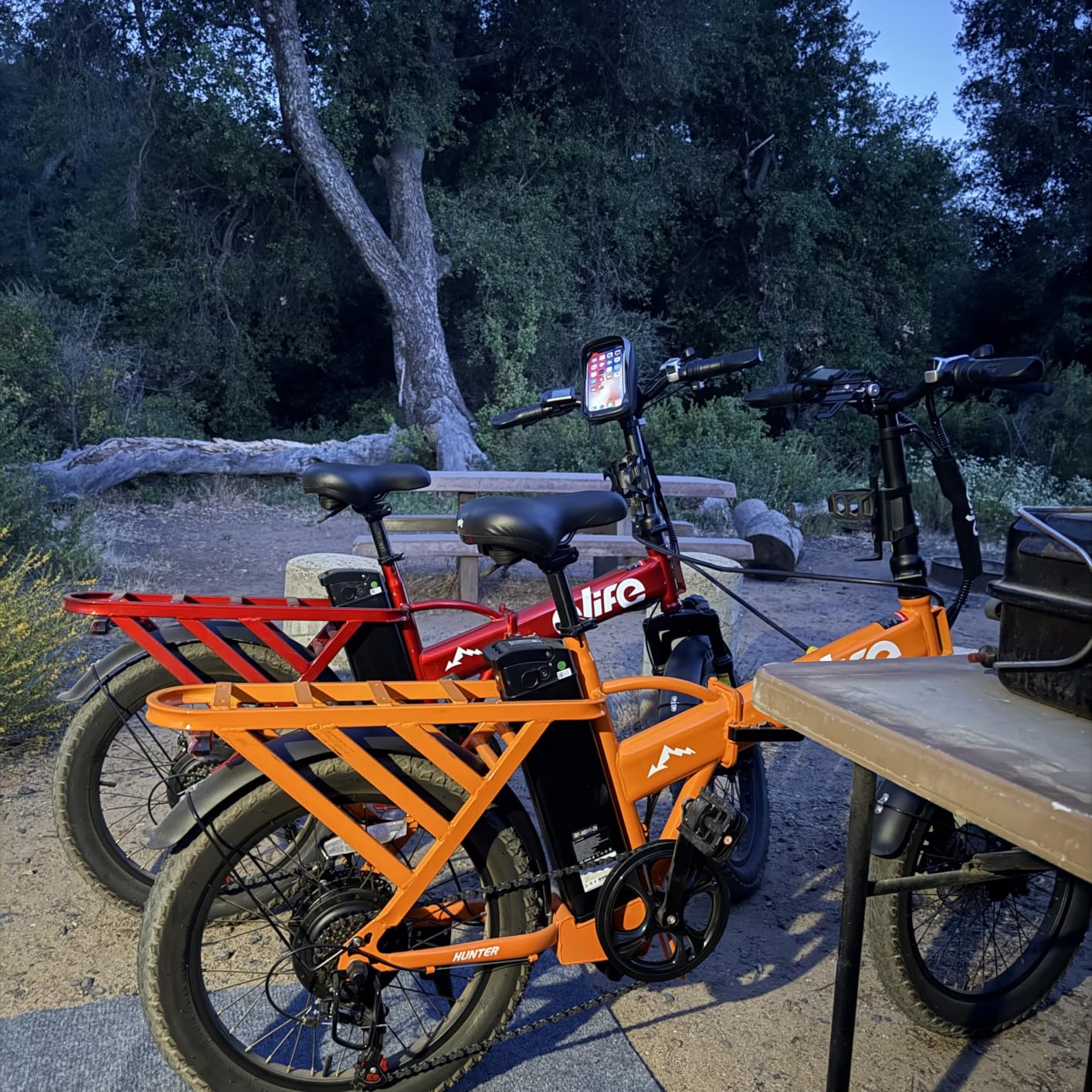 Qlife Hunter/Hunter Plus Foldable Electric Bike, Peak 1200W/1500W Ebike with 48V 13.5Ah/20Ah Battery, 65-90 Miles Range, Heavy-Duty Rear Rack, 20