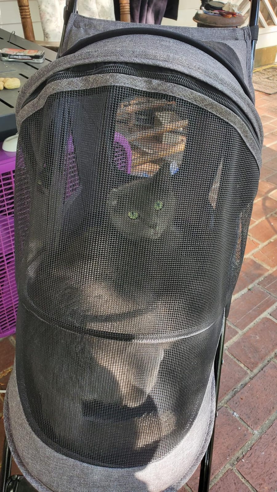 Pet Gear No-Zip Happy Trails Lite Pet Stroller, Titanium Grey | Zipperless Entry, Easy Fold with Removable Liner, Safety Tether, Storage Basket + Cup Holder, For Cats/Dogs customer photo 1