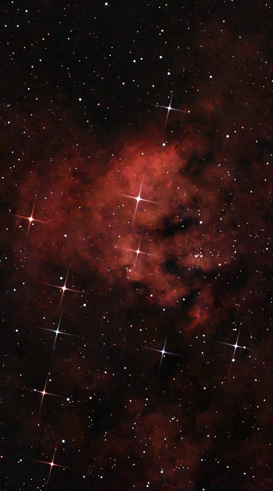 DWARFLAB Dwarf Mini Smart Telescope - 1.85lb Portable Astronomy Telescope | App Control, Auto GOTO, AZ/EQ Modes, 90-Second Exposure, Light Pollution Filter, 360° Pivot Freedom, Built-in Processing customer photo 2