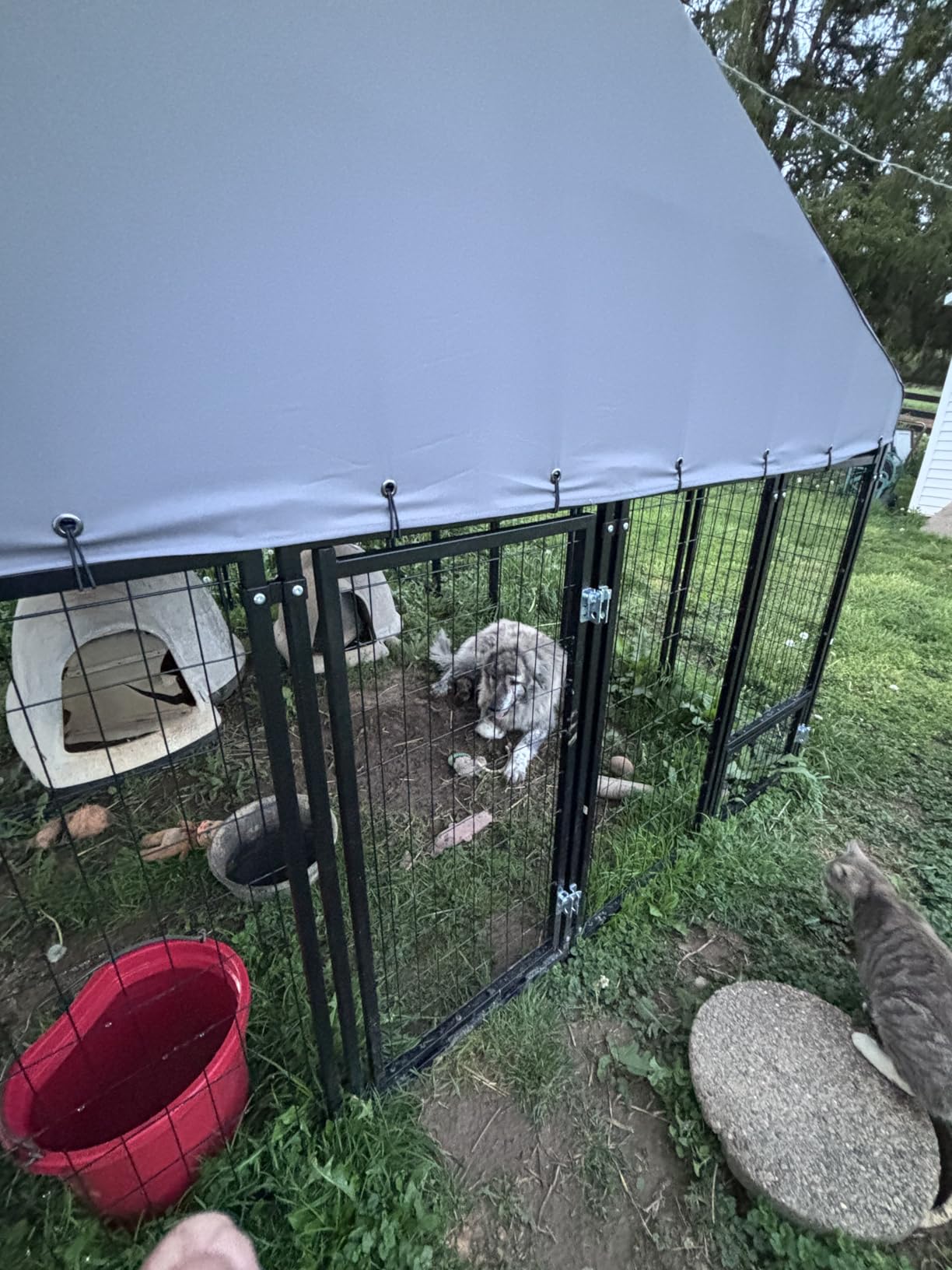 10X10FT Dog Kennel Outside Double Door Large Dog Kennel Outdoor with Feeding, Heavy Duty Outdoor Dog Crate Durable Dog Cage with Roof & Double Lock customer photo 1