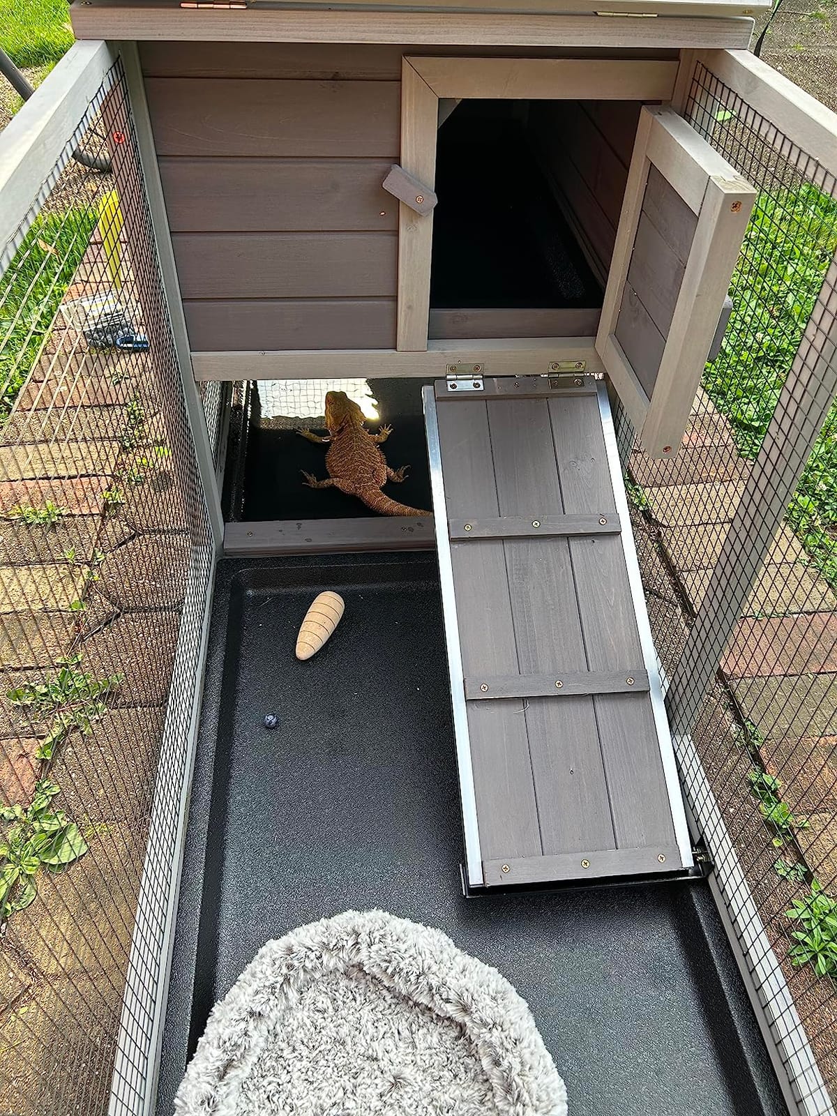 GUTINNEEN 2-Story Rabbit Hutch for 1-2 Bunnies - Indoor Outdoor Wooden Guinea Pig Cages with 4 Wheels, 2 Pull-Out Trays, 5 Doors & Waterproof Asphalt Roof, Brown customer photo 2
