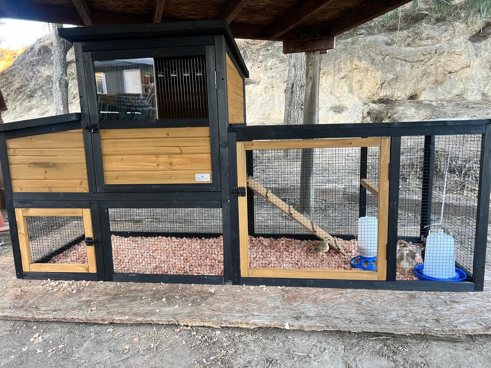 Petsfit Outdoor Chicken Coop with Run for 4-6 Chickens, 3 Nesting Boxes | 71 x 42 x 45 in; predator-resistant ground anchors, 3-door cleaning access, washable floor, 3 perches and chicken swing. customer photo 1