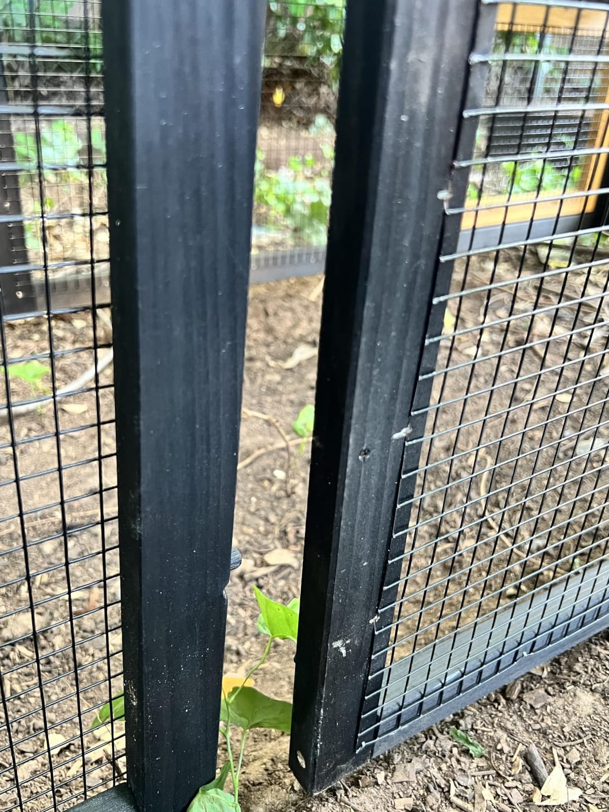 Petsfit Outdoor Chicken Coop with Run for 4-6 Chickens, 3 Nesting Boxes | 71 x 42 x 45 in; predator-resistant ground anchors, 3-door cleaning access, washable floor, 3 perches and chicken swing. customer photo 2
