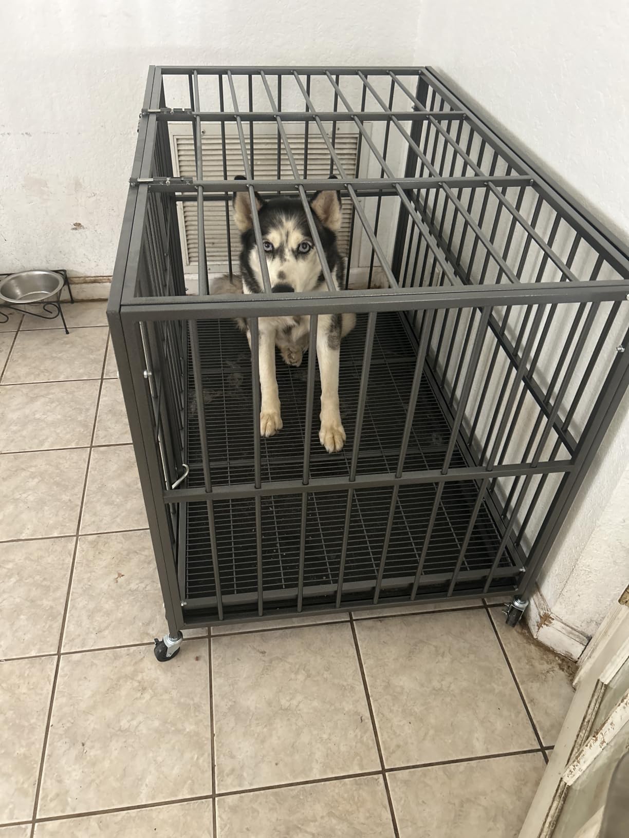 48 Inch Heavy Duty Dog Crate, Escape-Proof, Kennel for Large Dogs | Heavy duty steel, Chew-proof, Dual doors with escape-proof locks, Removable easy clean tray, Locking casters, Easy assembly customer photo 1