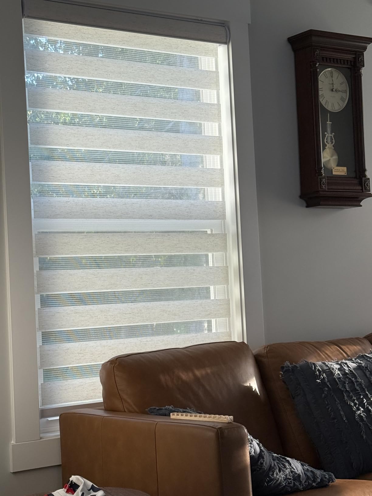 CHICOLOGY Zebra Blinds Cordless, Light Filtering, White Shade, 69.5W x 72H | Dual Layer Zebra Shade, Light Filtering for Windows, Cordless Child Safe, Inside Outside Mount, Bedroom Living Room customer photo 2