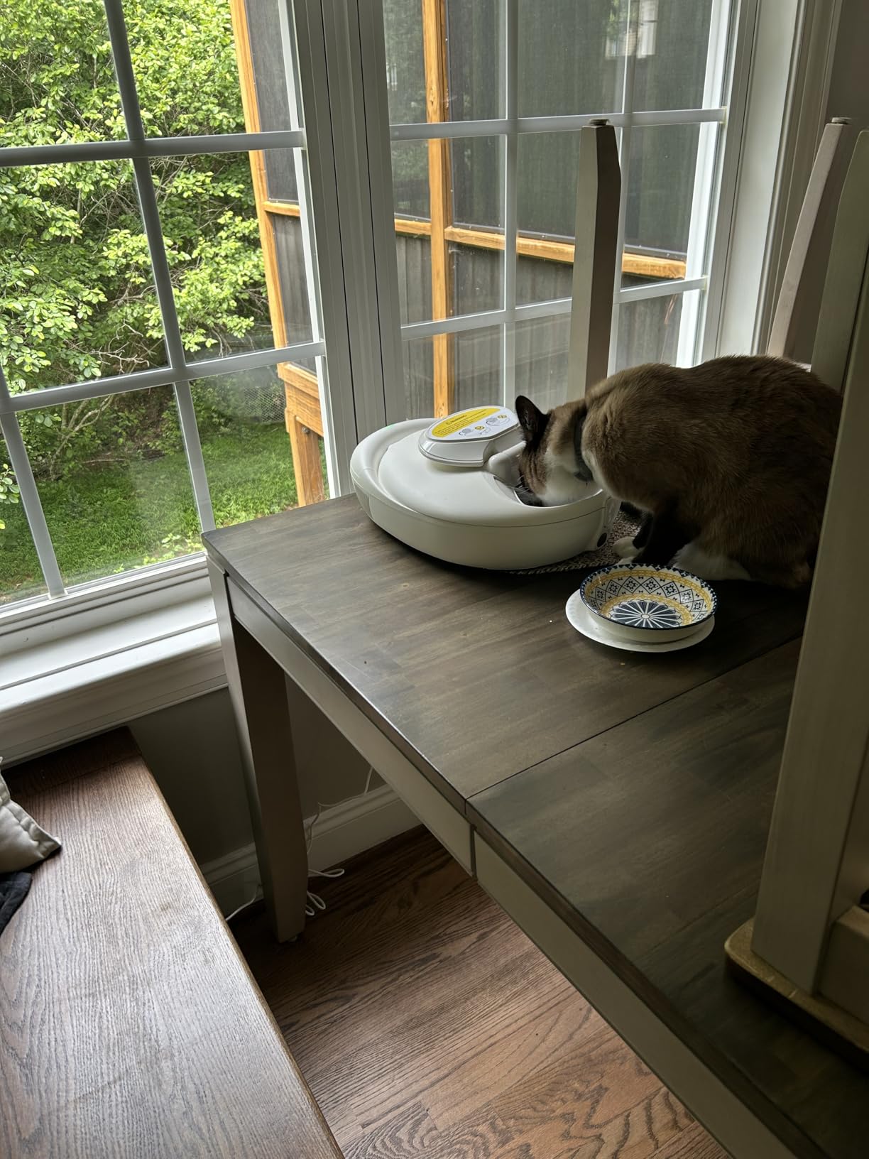 Automatic Cat Feeder Wet Food, 2026 Upgraded Refrigerated Auto Cat Feeder with Semiconductor Cooling, 4 Days Freshness 5 Meals, Pet Food Dispenser for Cats and Small Dogs, Easy to Clean customer photo 1