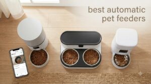 best automatic pet feeders