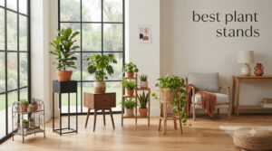 best plant stands