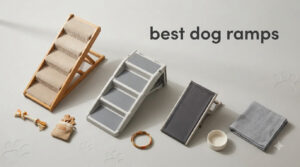 best dog ramps