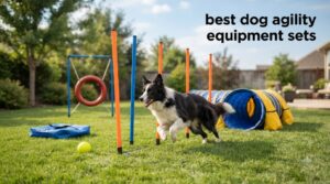 best dog agility equipment sets