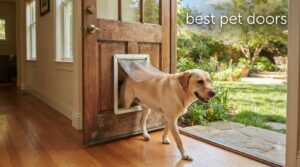 best pet doors