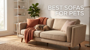 best sofas for pets
