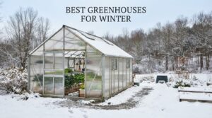 best greenhouses for winter