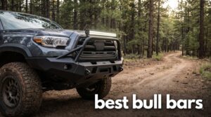 best bull bars