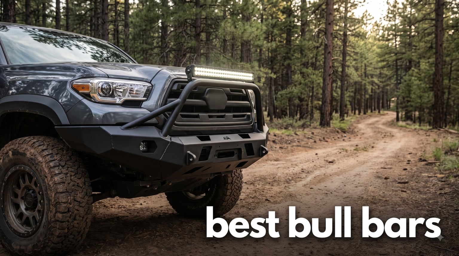 best bull bars