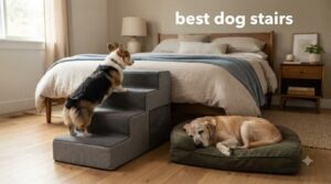 best dog stairs