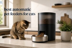 best automatic pet feeders for cats
