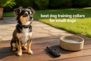 best dog training collars for small dogs