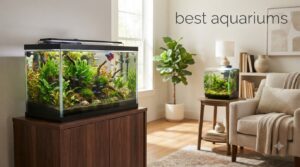 best aquariums
