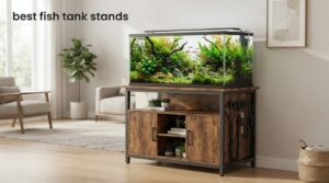 best fish tank stands
