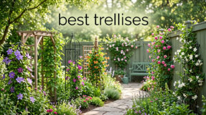 best trellises
