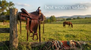 best western saddles