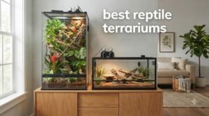 best reptile terrariums