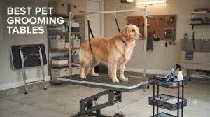 best pet grooming tables