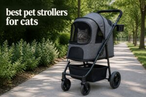 best pet strollers for cats