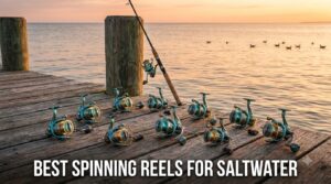 best spinning reels for saltwater