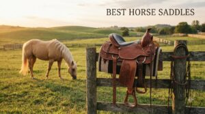 best horse saddles