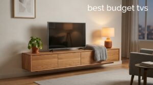 best budget tvs