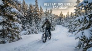 best fat tire bikes for snow