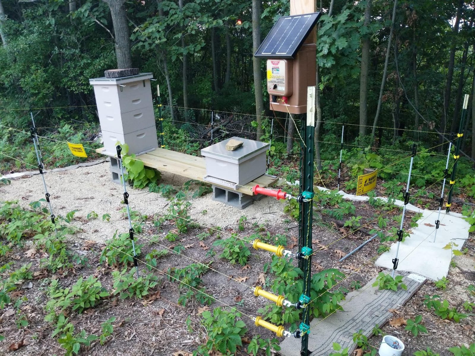 Parmak Magnum Solar-Pak 12 Low Impedance 12 Volt Battery Operated 30 Mile Range Electric Fence Charger MAG12-SP customer photo 1