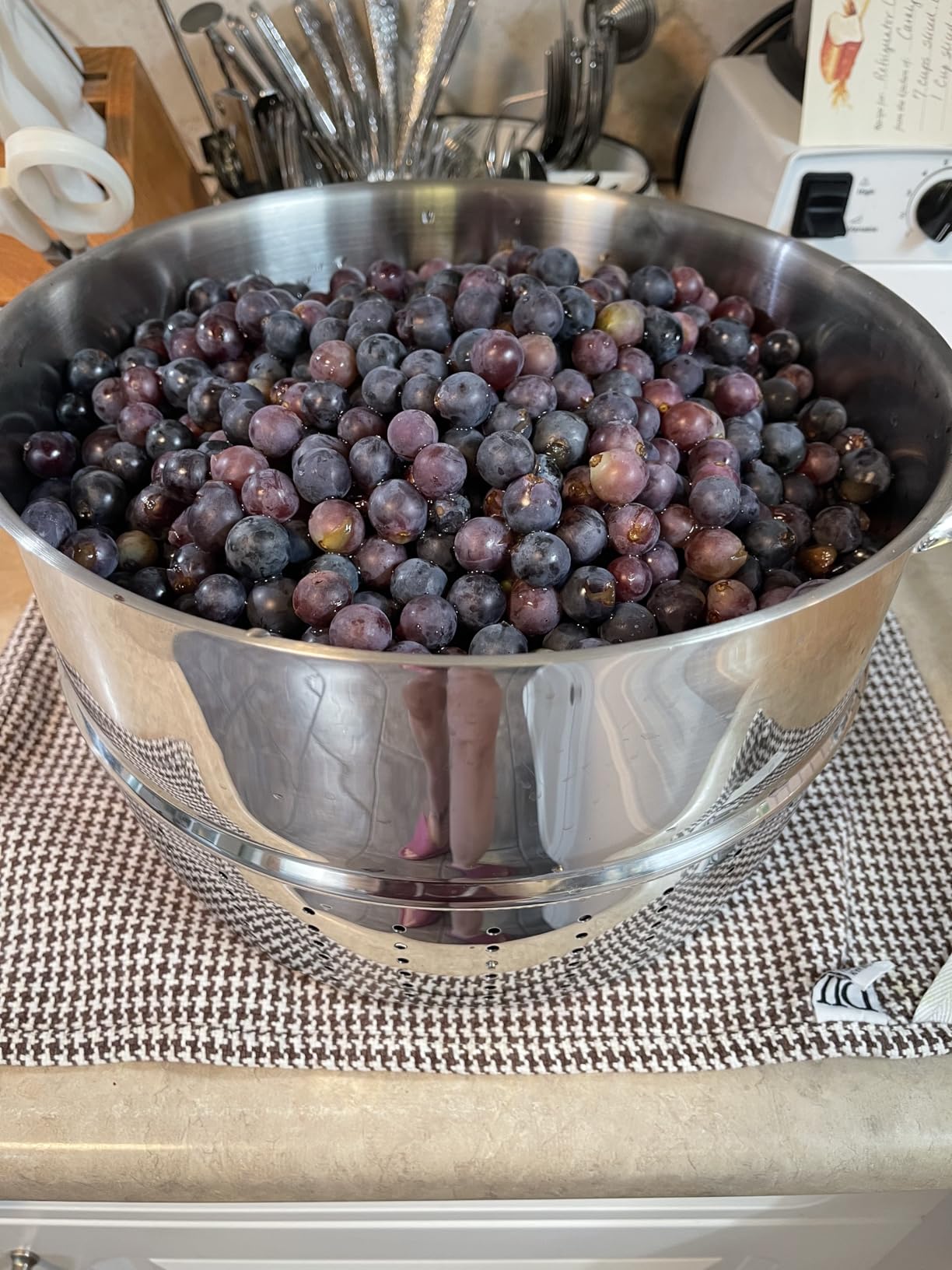 The Original Mehu-Liisa 11 Liter Stainless Steel Steam Juicer customer photo 2