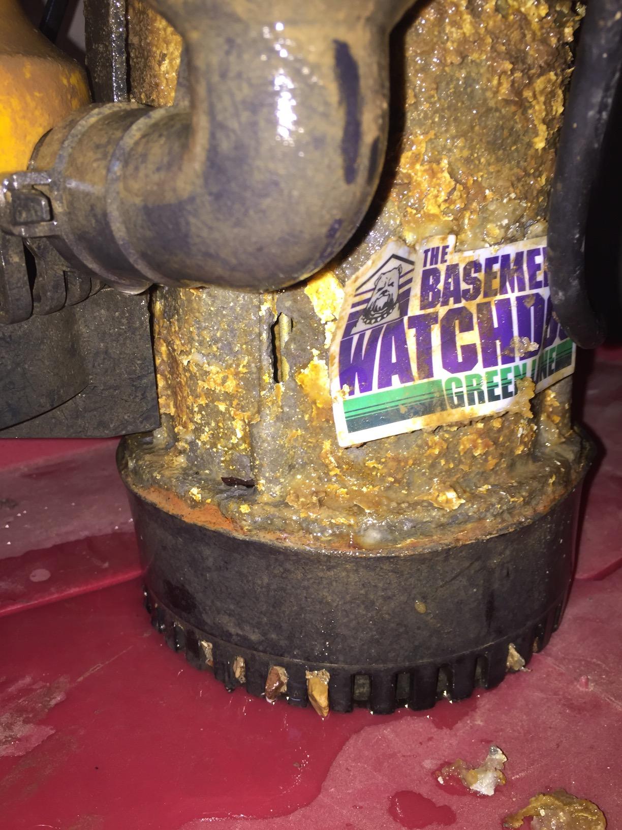 THE BASEMENT WATCHDOG Model DFK961 1/3 HP Combination Submersible Sump Pump with Cast Iron/Cast Aluminum Primary Sump Pump and a 24 Hour a Day Monitoring Emergency Battery Backup Sump Pump System customer photo 1