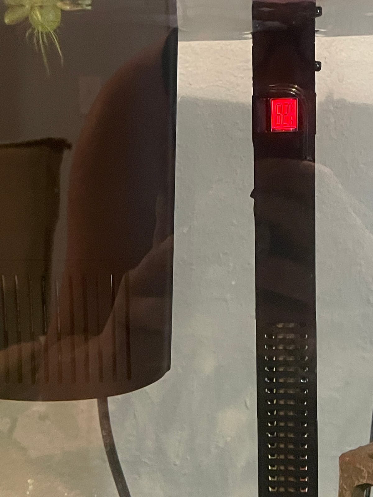 Fluval E 100 Watt Electronic Heater customer photo 1
