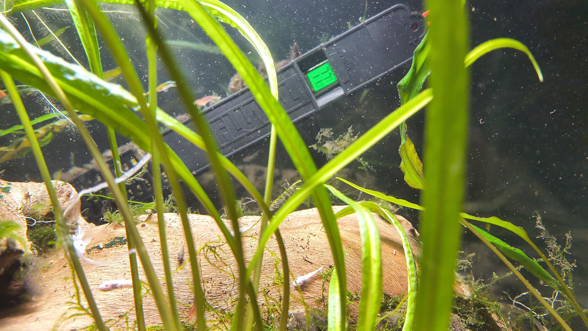 Fluval E 100 Watt Electronic Heater customer photo 2